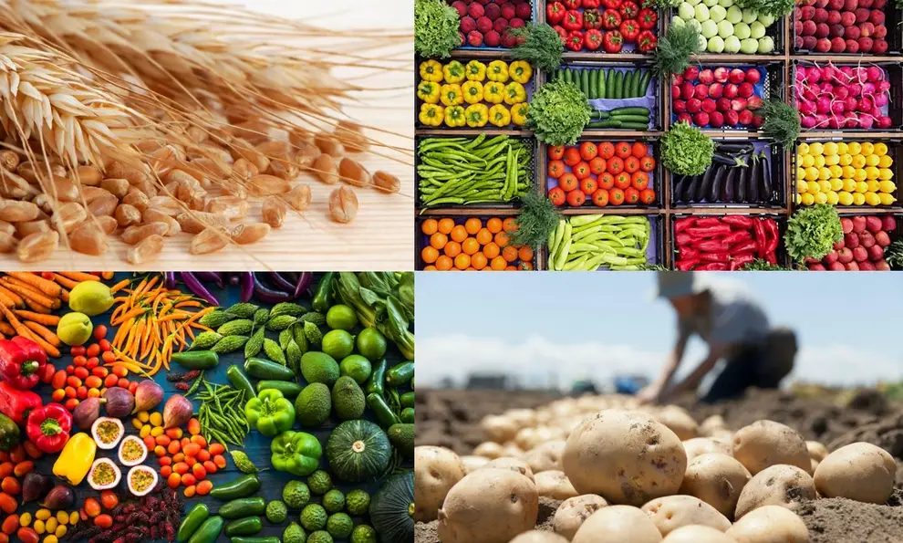 Płody rolne warzywa owoce