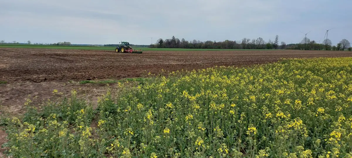 Uprawa pola ciagnikiem